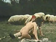 Greek Vintage Sheep Prairie Sex